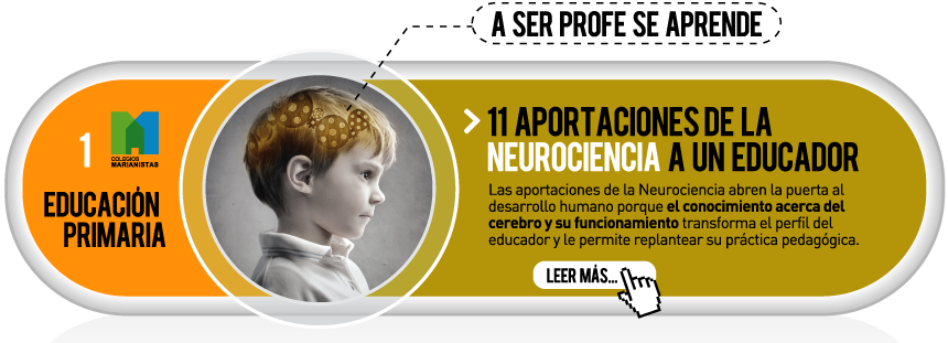 Aportaciones de la neurociencia a un educador